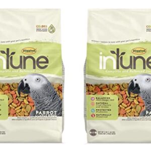 Higgins 2 Pack of Intune Complete and Balanced Diet Parrot Food, 3 Pounds Each