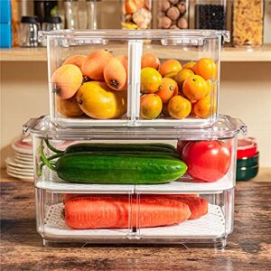 Slideep Food Storage Containers, Lettuce Keeper Stackable Fridge Produce Saver with Lids, Removable Drain Tray Drawers Refrigerator Produce Keeper for Veggie, Berry, Fruits, Vegetables -2 Pack