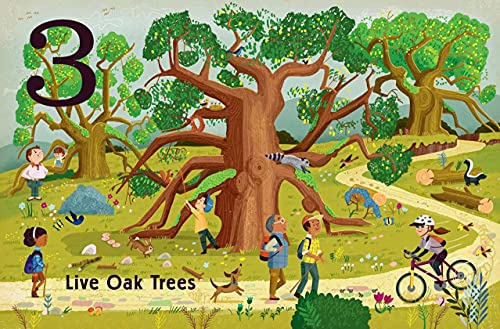 Trees: A Count and Find Primer (BabyLit)