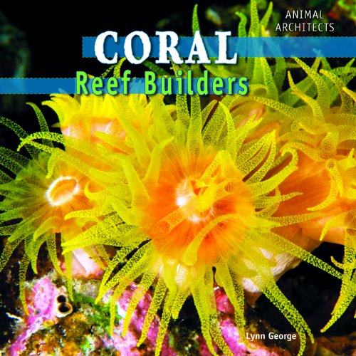 Coral: Reef Builders (Animal Architects)