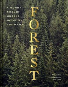 forest: (tree photography book, nature and world photo book)