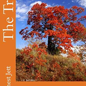 The Tree: A Study of the Tree of Life