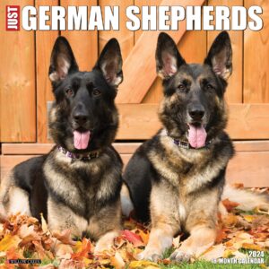 just german shepherds 2024 calendar
