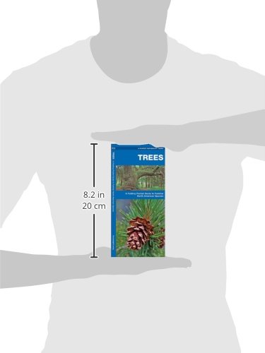 Trees: A Folding Pocket Guide to Familiar North American Plants (Wildlife and Nature Identification)