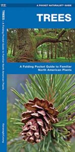trees: a folding pocket guide to familiar north american plants (wildlife and nature identification)
