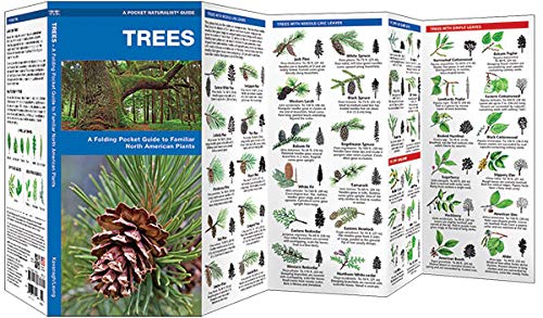 Trees: A Folding Pocket Guide to Familiar North American Plants (Wildlife and Nature Identification)