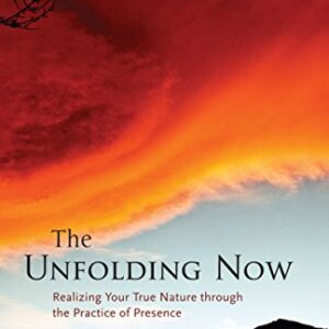 The Unfolding Now: Realizing Your True Nature through the Practice of Presence