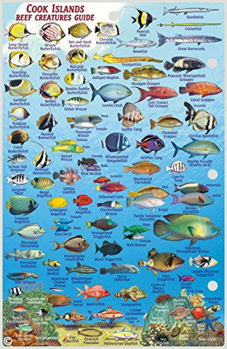 Cook Islands Dive Map & Coral Reef Creatures Guide Franko Maps ...
