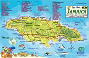 jamaica dive map & coral reef creatures guide franko maps laminated fish card