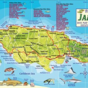Jamaica Dive Map & Coral Reef Creatures Guide Franko Maps Laminated Fish Card