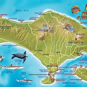 Bali Indonesia Dive Map & Coral Reef Creatures Guide Franko Maps Laminated Fish Card