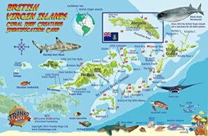 british virgin islands dive map & coral reef creatures guide franko maps bvi laminated fish card