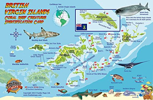 British Virgin Islands Dive Map & Coral Reef Creatures Guide Franko Maps BVI Laminated Fish Card