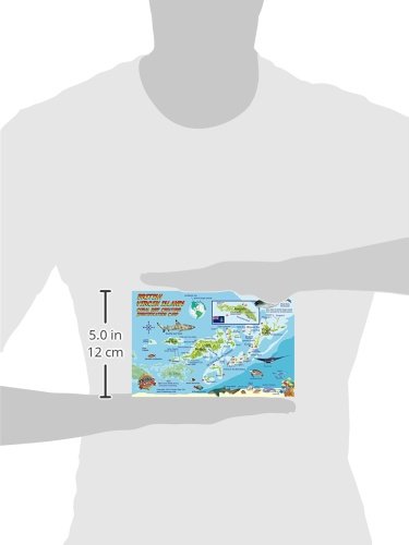 British Virgin Islands Dive Map & Coral Reef Creatures Guide Franko Maps BVI Laminated Fish Card