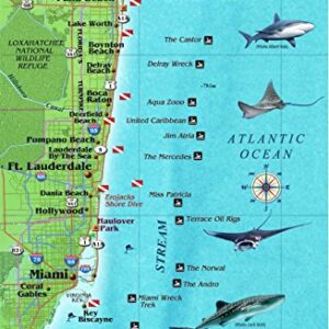 Southeast Florida Dive Map & Coral Reef Creatures Guide Franko Maps Laminated Fish Card