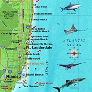 Southeast Florida Dive Map & Coral Reef Creatures Guide Franko Maps Laminated Fish Card