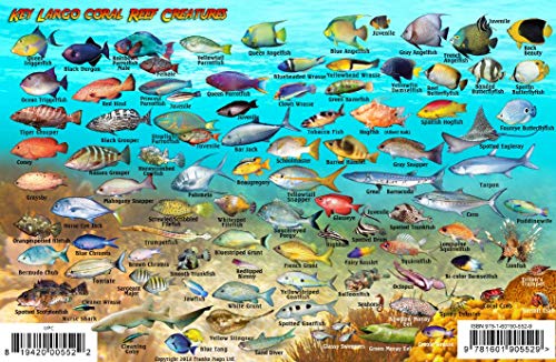 John Pennekamp Coral Reef State Park Dive Map & Fish Identification Waterproof Card