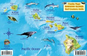 hawaiian islands map & coral reef creatures guide franko maps laminated fish card