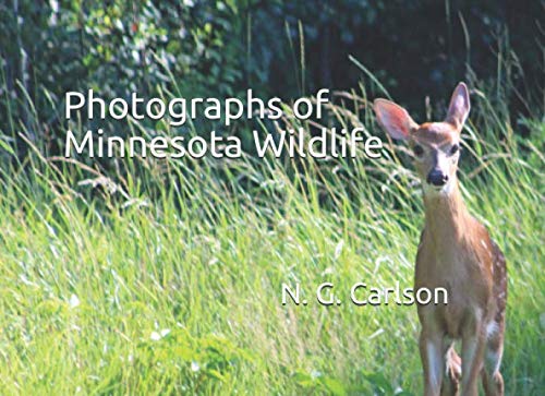 Photographs of Minnesota Wildlife (Wildlife photographs)