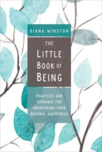 the little book of being: practices and guidance for uncovering your natural awareness