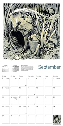 Martin Truefitt-Baker Wall Calendar 2024 (Art Calendar)