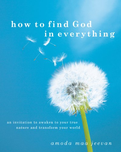 How to Find God in Everything: An Invitation to Awaken your true Nature and Transform your World