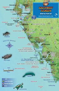 southwest florida dive map & coral reef creatures guide franko maps laminated fish card