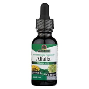 nature's answer alcohol-free alfalfa herb extract, 1-fluid ounce supports immune system, blood, digestion, energy levels - helps with detoxification