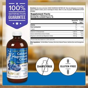 Lifetime High Potency Calcium Magnesium Citrate w/Vitamin D-3 | Bone & Muscle Support | Easy Absorption, Dairy & No Gluten | Blueberry | 16 FL oz