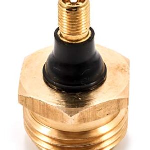 Camco RV Brass Blow Out Plug | Helps Clear Your RV's Water Lines During Winterization and Dewinterization (36153)