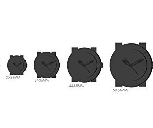Sieko Men's SNK381K Stainless Steel Analog with Black Dial Watch