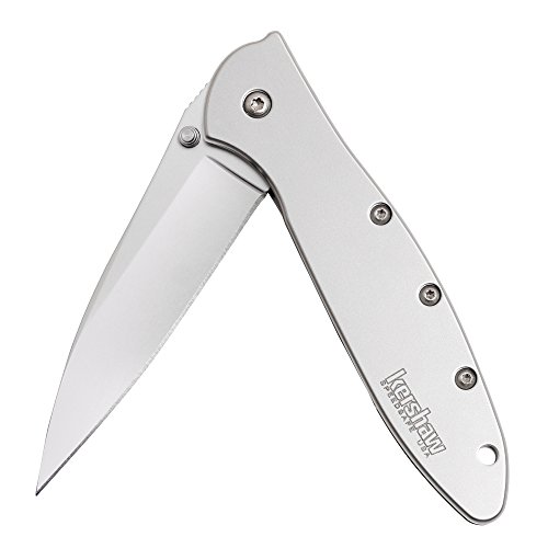 Kershaw Leek Pocket Knife, 3" 14C28N Stainless Steel Drop Point Blade, Spring Assisted Knife, Folding EDC