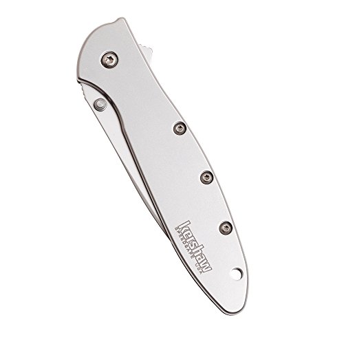 Kershaw Leek Pocket Knife, 3" 14C28N Stainless Steel Drop Point Blade, Spring Assisted Knife, Folding EDC