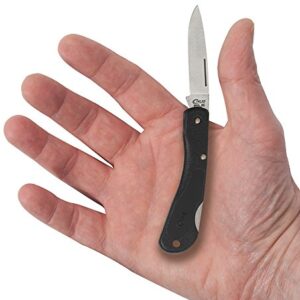 Case Cutlery 00253 Lightweight Mini Blackhorn Pocket Knife with Stainless Steel Blade, Black Synthetic