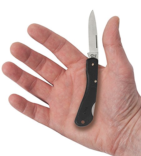 Case Cutlery 00253 Lightweight Mini Blackhorn Pocket Knife with Stainless Steel Blade, Black Synthetic