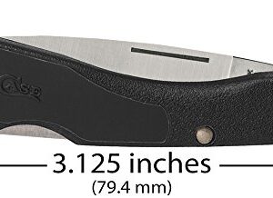 Case Cutlery 00253 Lightweight Mini Blackhorn Pocket Knife with Stainless Steel Blade, Black Synthetic