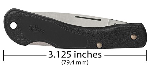 Case Cutlery 00253 Lightweight Mini Blackhorn Pocket Knife with Stainless Steel Blade, Black Synthetic