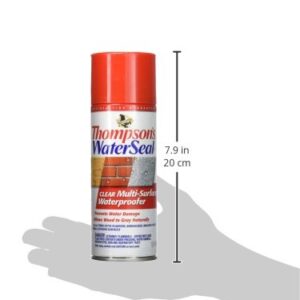 Thompson’s WaterSeal Multi-Surface Waterproofer Stain, Clear, 12 oz Aerosol Can