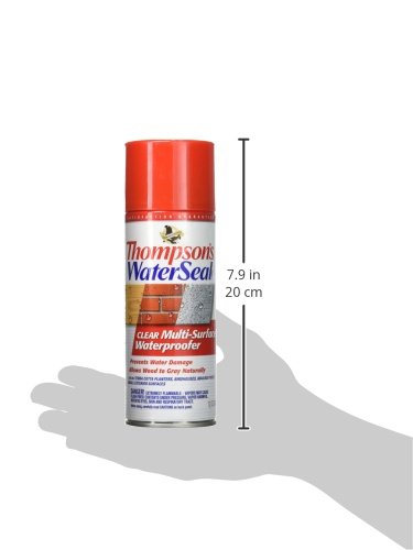 Thompson’s WaterSeal Multi-Surface Waterproofer Stain, Clear, 12 oz Aerosol Can