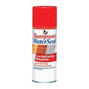 thompson’s waterseal multi-surface waterproofer stain, clear, 12 oz aerosol can