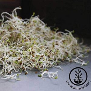 Certified Organic Alfalfa Sprouting Seed- 8 Oz - Handy Pantry Brand - High Sprout Germination- Edible Seeds, Gardening, Hydroponics, Growing Salad Sprouts, Planting, Food Storage & More