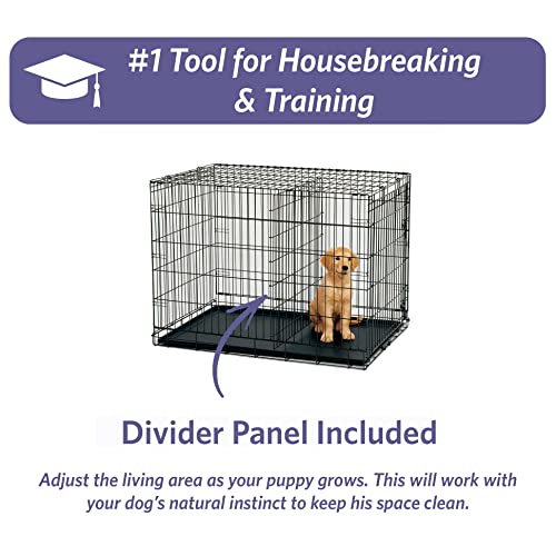 MidWest Homes for Pets Newly Enhanced Single & Double Door iCrate Dog Crate, Includes Leak-Proof Pan, Floor Protecting Feet , Divider Panel & New Patented Features