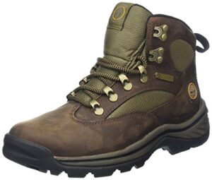 timberland women's chocorua trail boot,brown,9 m