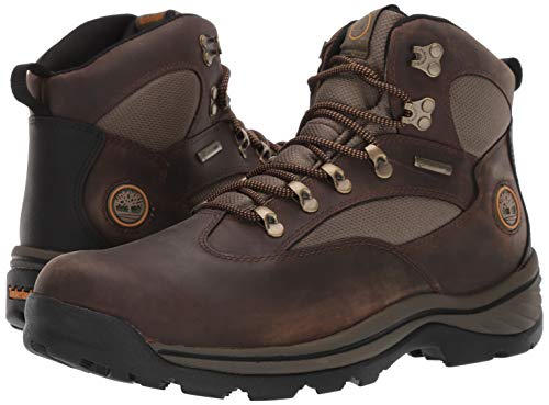 Timberland Men's Chocorua Trail Mid Waterproof Snow Shoe, Brown/Green, 10 D - Medium