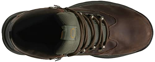 Timberland Men's Chocorua Trail Mid Waterproof Snow Shoe, Brown/Green, 10 D - Medium