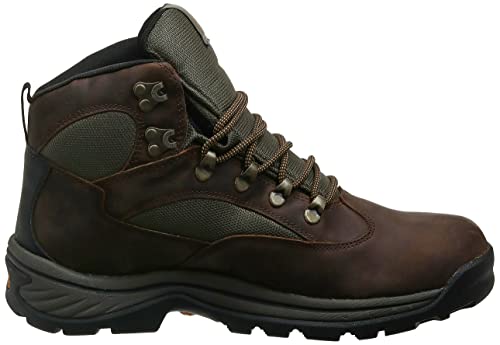 Timberland Men's Chocorua Trail Mid Waterproof Snow Shoe, Brown/Green, 10 D - Medium