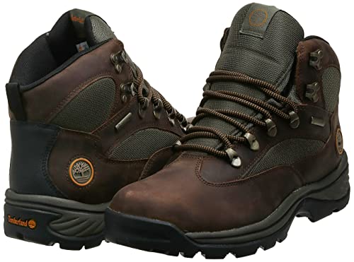 Timberland Men's Chocorua Trail Mid Waterproof Snow Shoe, Brown/Green, 10 D - Medium