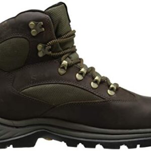 Timberland Men's Chocorua Trail Mid Waterproof Snow Shoe, Brown/Green, 10 D - Medium