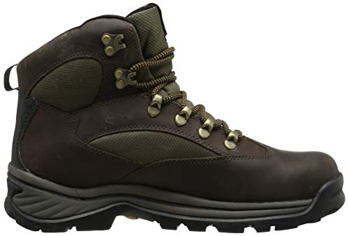 Timberland Men's Chocorua Trail Mid Waterproof Snow Shoe, Brown/Green, 10 D - Medium