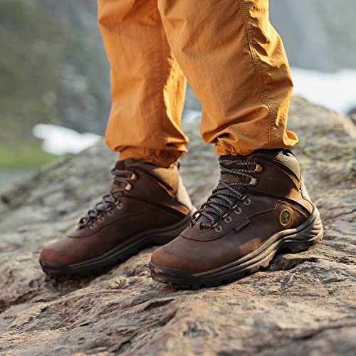 Timberland Men's White Ledge Mid Waterproof Hiking Boot, Medium Brown, 10